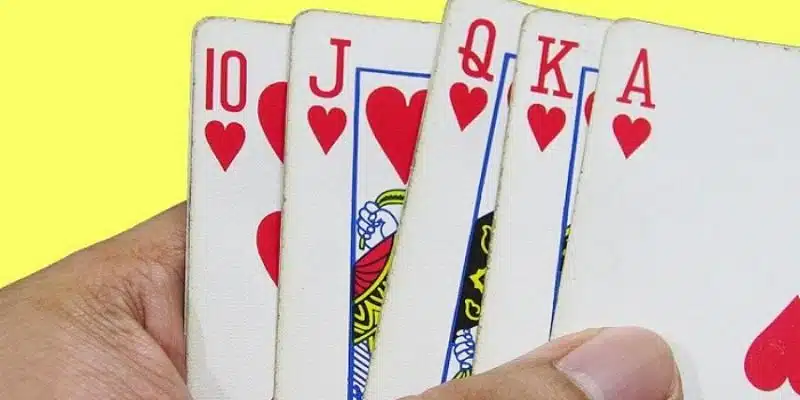 Chất cơ - Tượng trưng cho nước